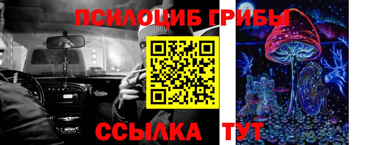 купить  сайты  Вход с VPN  Кунгур  Галлюциногенные грибы MAGIC MUSHROOMS 