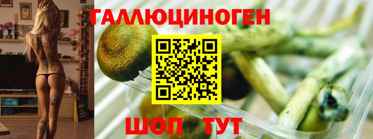 Псилоцибиновые грибы мицелий Кунгур